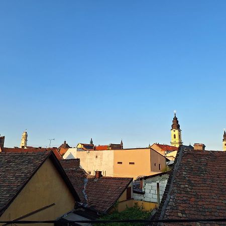 Black Eagle Central Unirii Square, 2 King Size Bedrooms, Free Private Parking Oradea Eksteriør billede