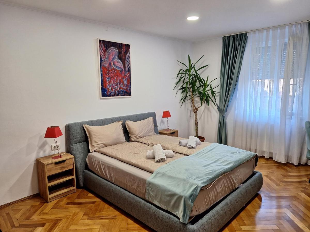 Black Eagle Central Unirii Square, 2 King Size Bedrooms, Free Private Parking Oradea Eksteriør billede