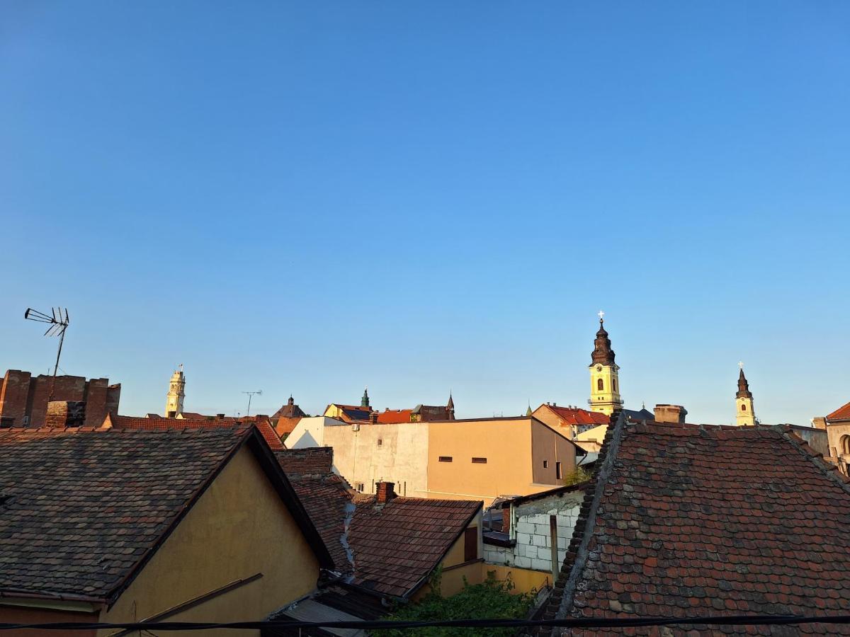 Black Eagle Central Unirii Square, 2 King Size Bedrooms, Free Private Parking Oradea Eksteriør billede